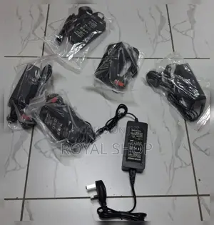 Hoverboard Charger