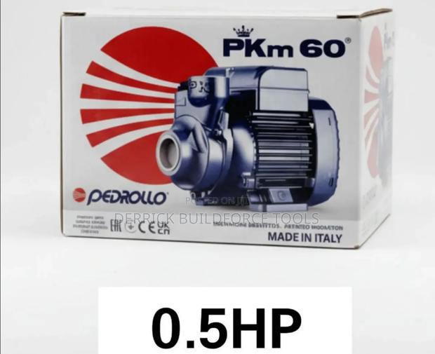 Pedrollo 0.5hp Booster Pump - main view