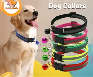 Dog Collar