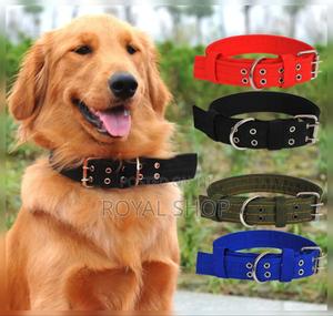 Dog Collar Dog Collar - thumbnail 2