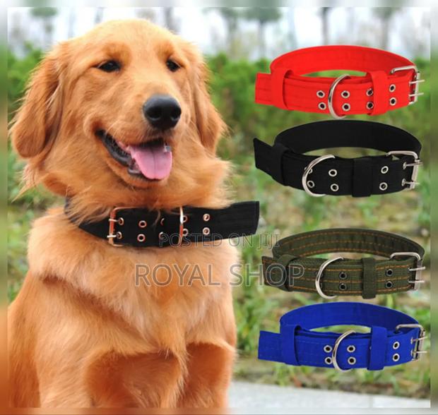 Dog Collar Dog Collar - main view