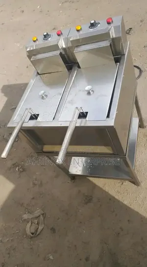 Chips Fryer Stand Alone With the Two Wells for Efficient Frying