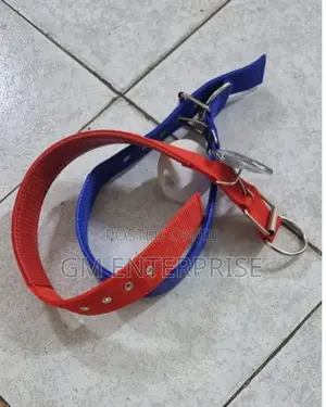 Dog Collar, Dog Collar