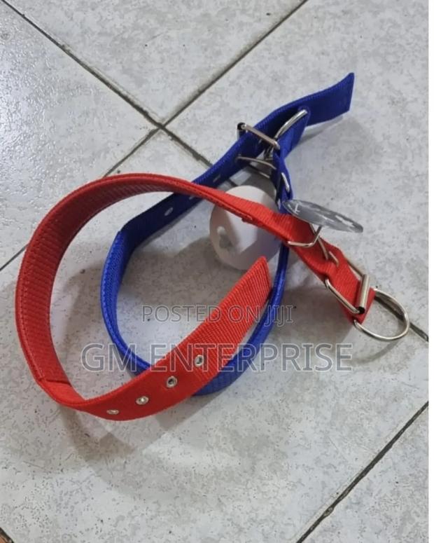 Dog Collar, Dog Collar