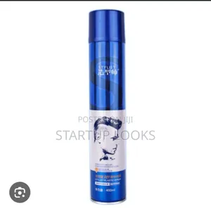 Astysst Styling Holding Spray, Hair Holding Spray