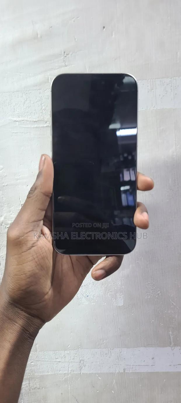 Apple iPhone 16 Pro Max 256 GB Gray - thumbnail 2