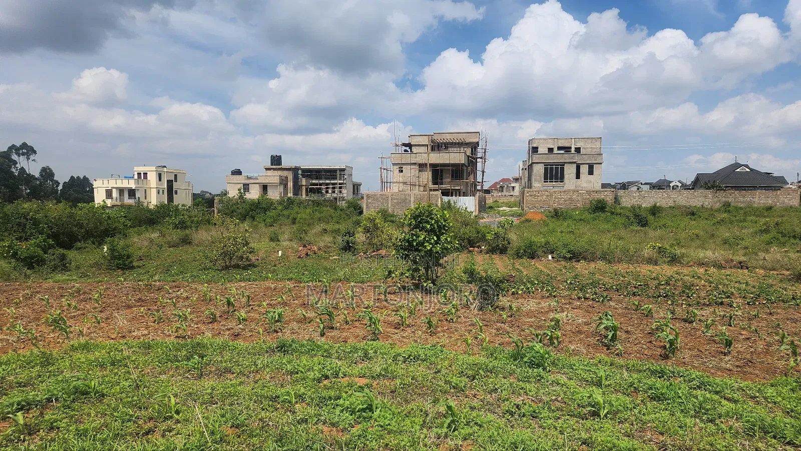 Kenyatta Road Theta Estate