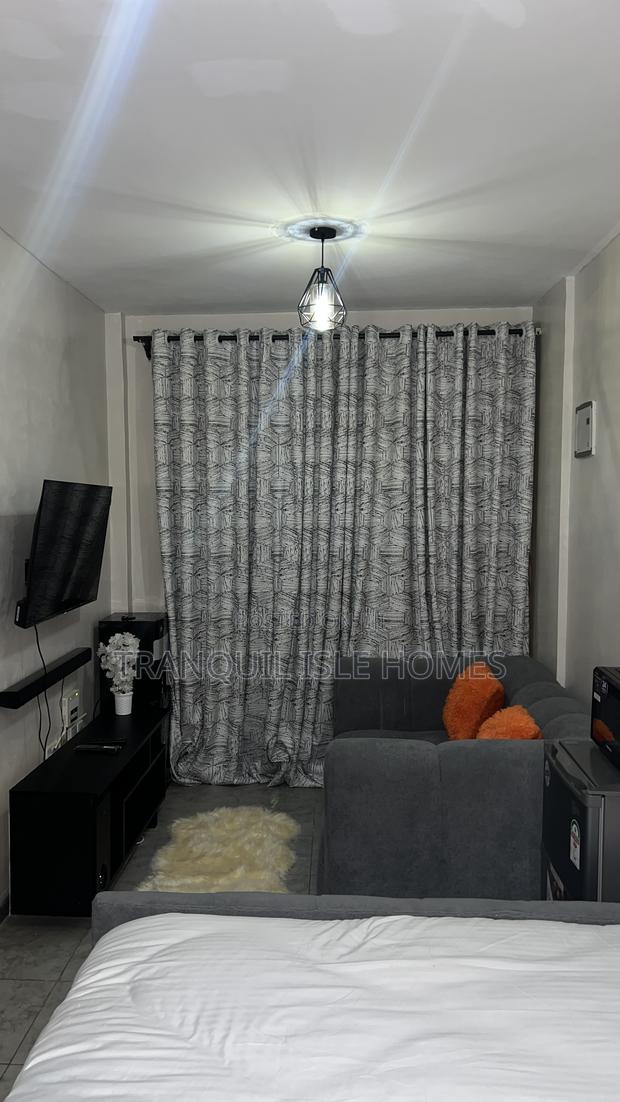 Furnished Studio Apartment in Tsavo, Roysambu. for rent - thumbnail 3