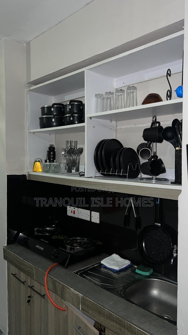 Furnished Studio Apartment in Tsavo, Roysambu. for rent - thumbnail 5