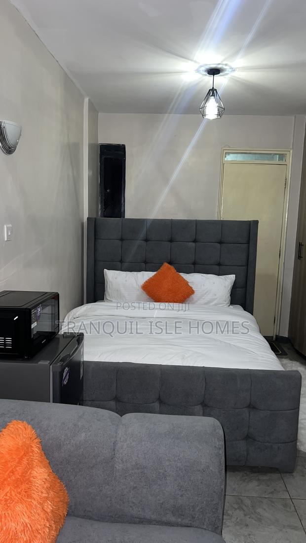 Furnished Studio Apartment in Tsavo, Roysambu. for rent - thumbnail 4