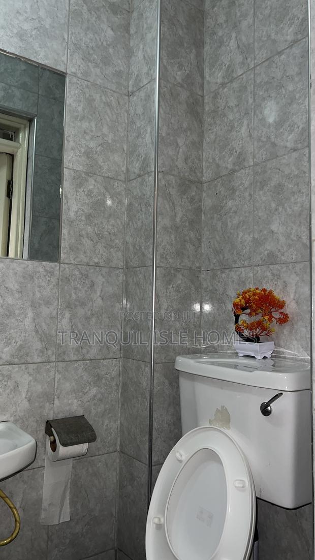 Furnished Studio Apartment in Tsavo, Roysambu. for rent - thumbnail 6