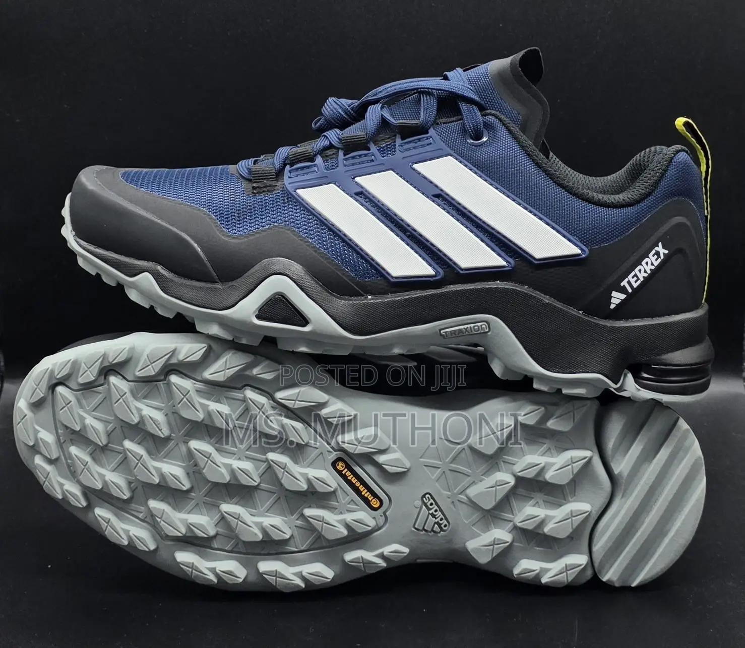  Adidas Terrex Swift R2 GTX Hiking Shoe 40-45