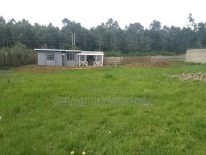 Half Acre Plus 3 Bed Cottage for Rent in Karen - thumbnail 2
