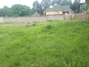 Half Acre Plus 3 Bed Cottage for Rent in Karen