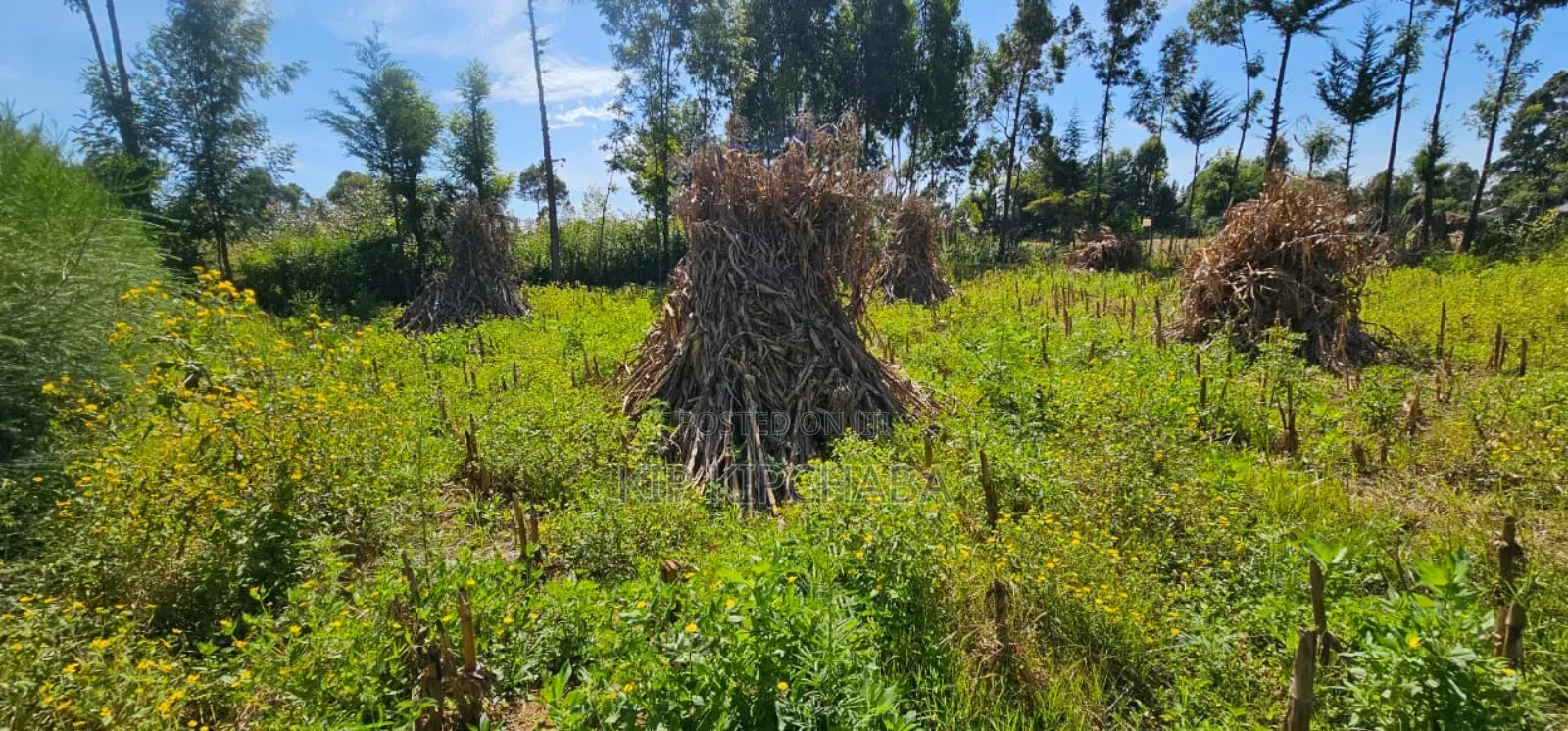 Prume 1⁄4 Plot for Sale in Chepkanga Eldoret Mutei Road