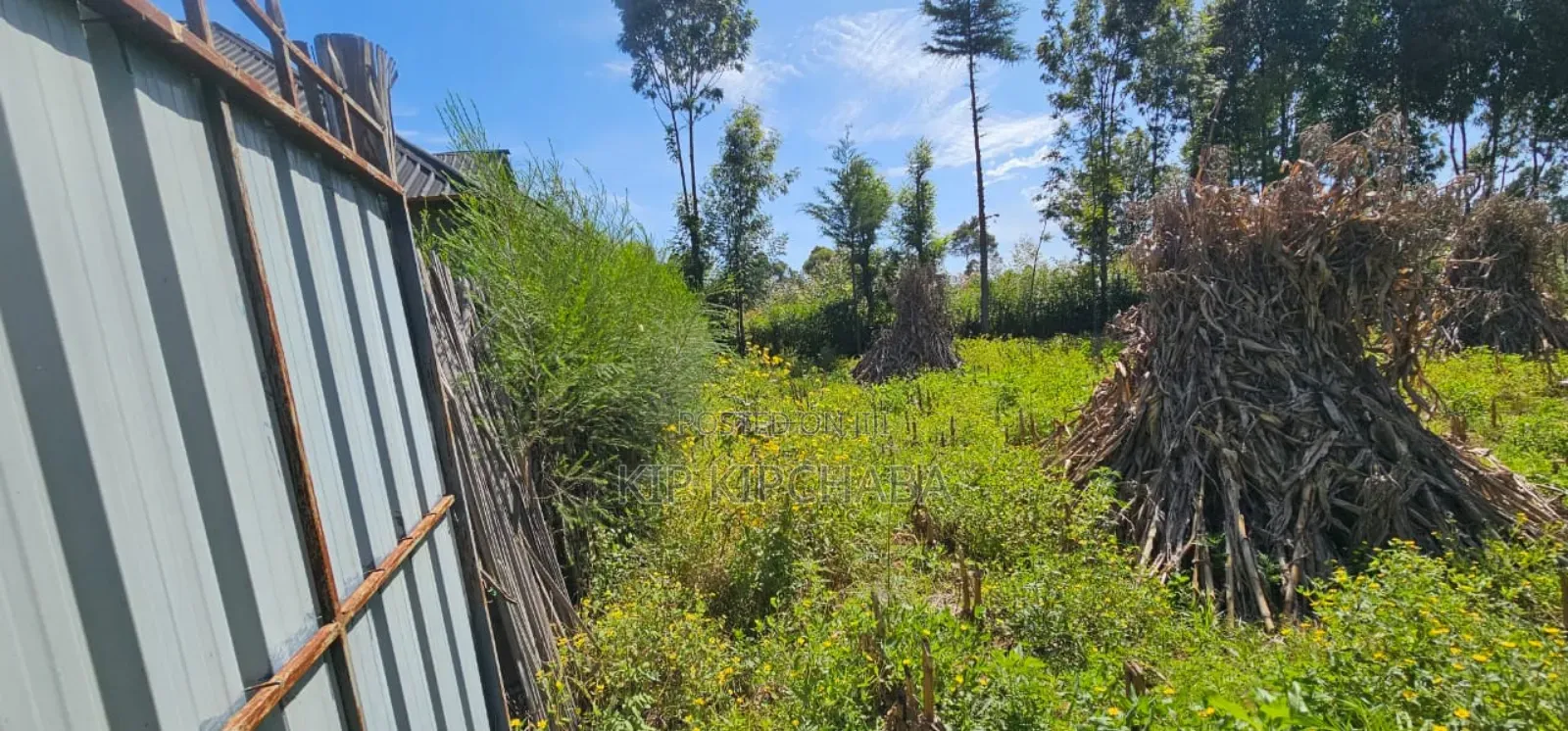 Prume 1⁄4 Plot for Sale in Chepkanga Eldoret Mutei Road