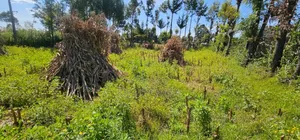 Prume 1⁄4 Plot for Sale in Chepkanga Eldoret Mutei Road