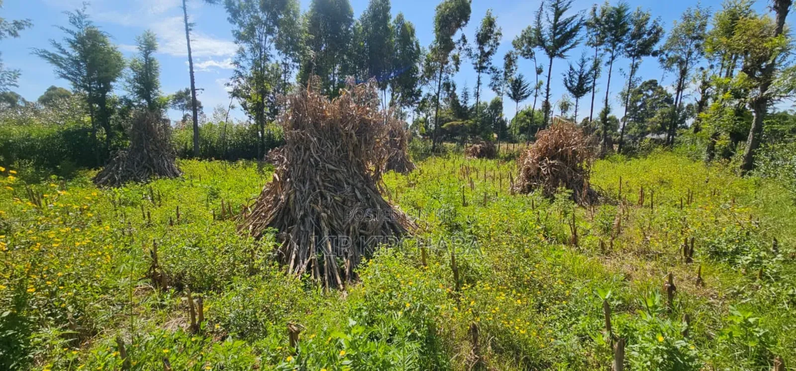 Prume 1⁄4 Plot for Sale in Chepkanga Eldoret Mutei Road
