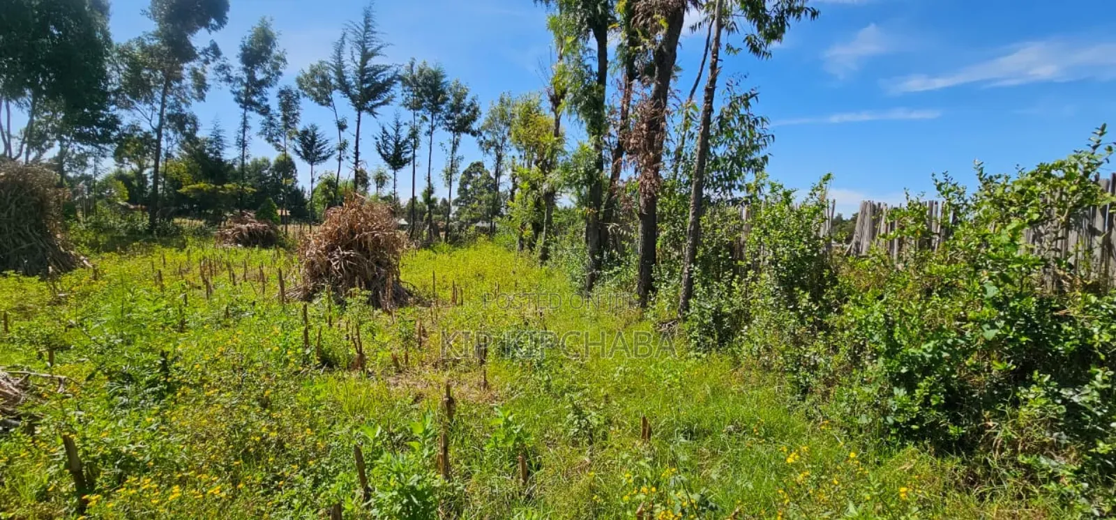 Prume 1⁄4 Plot for Sale in Chepkanga Eldoret Mutei Road