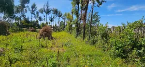Prume 1⁄4 Plot for Sale in Chepkanga Eldoret Mutei Road