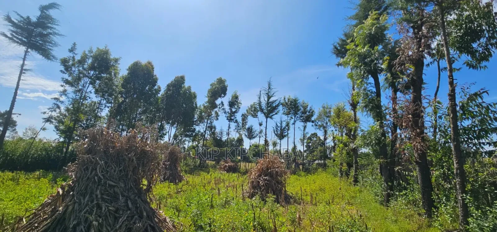 Prume 1⁄4 Plot for Sale in Chepkanga Eldoret Mutei Road