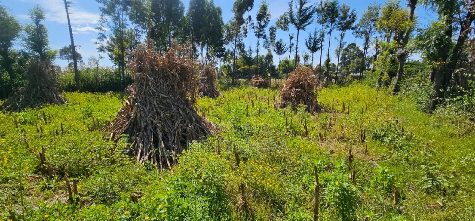 Prume 1⁄4 Plot for Sale in Chepkanga Eldoret Mutei Road