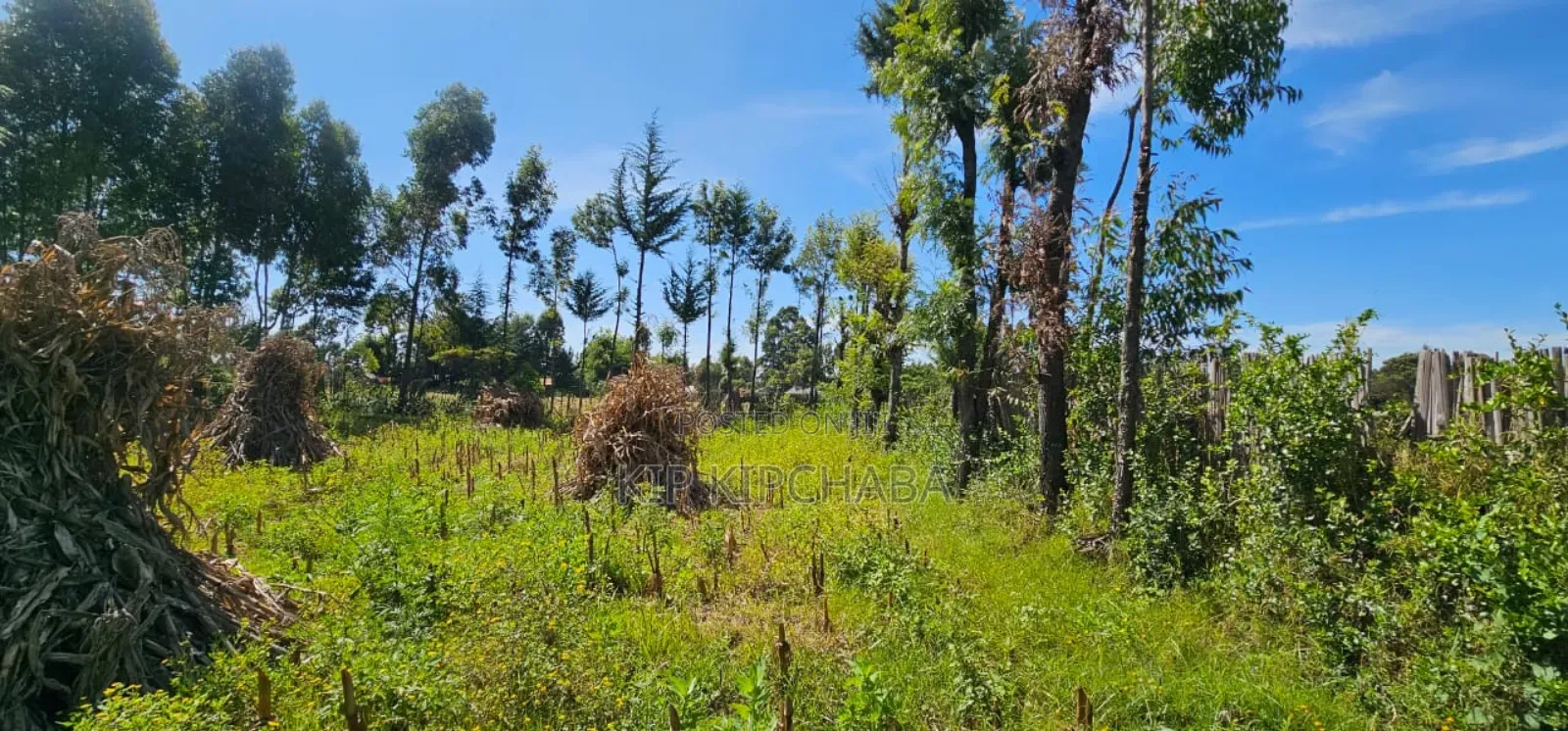 Prume 1⁄4 Plot for Sale in Chepkanga Eldoret Mutei Road
