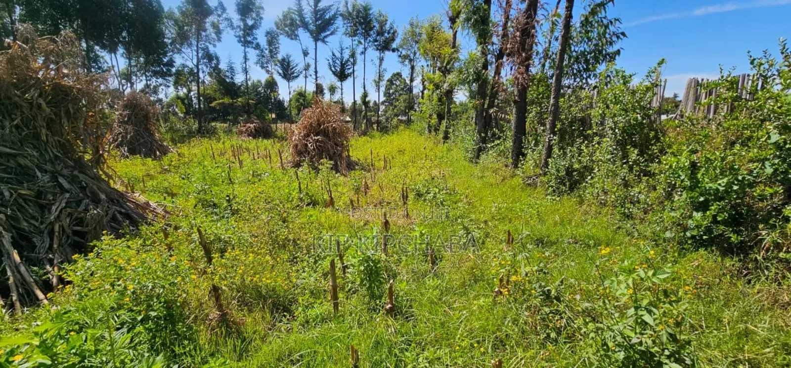 Prume 1⁄4 Plot for Sale in Chepkanga Eldoret Mutei Road