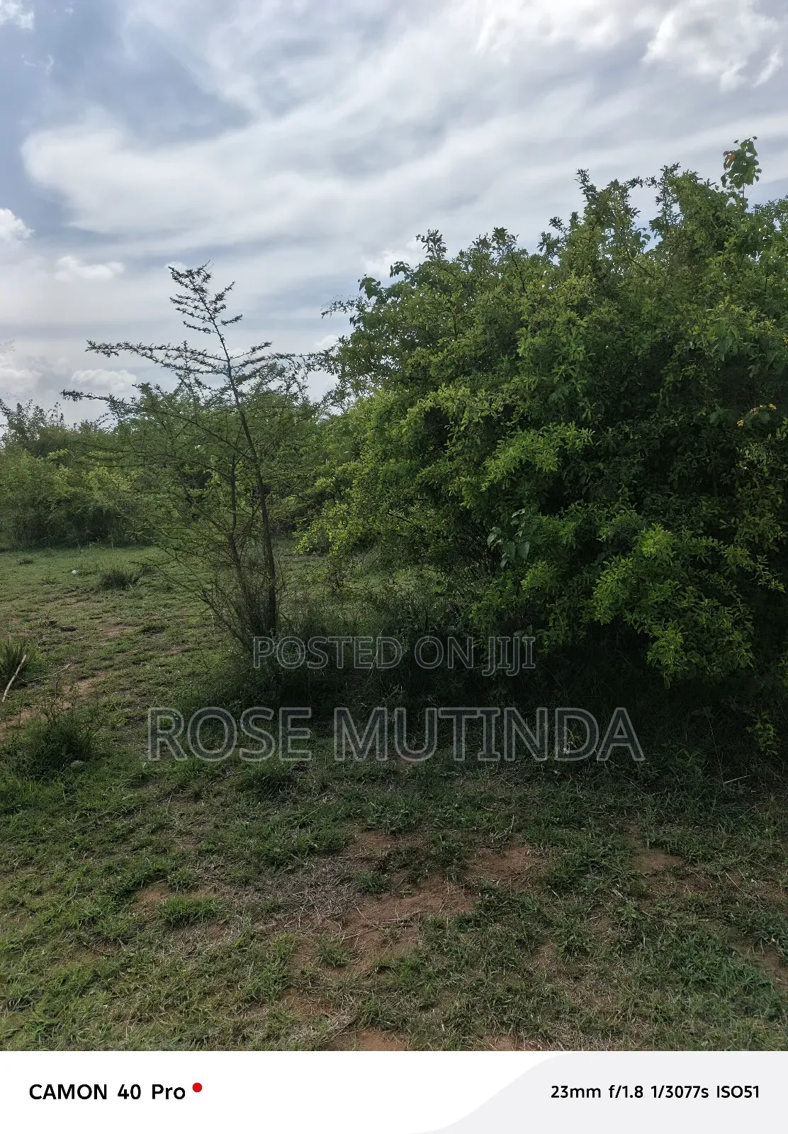 2acres Wendano
