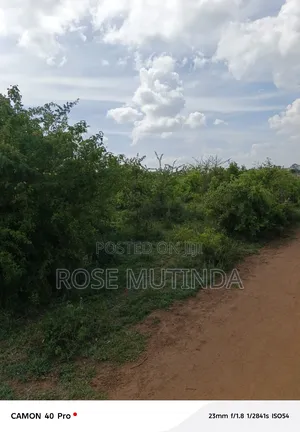 2acres Wendano