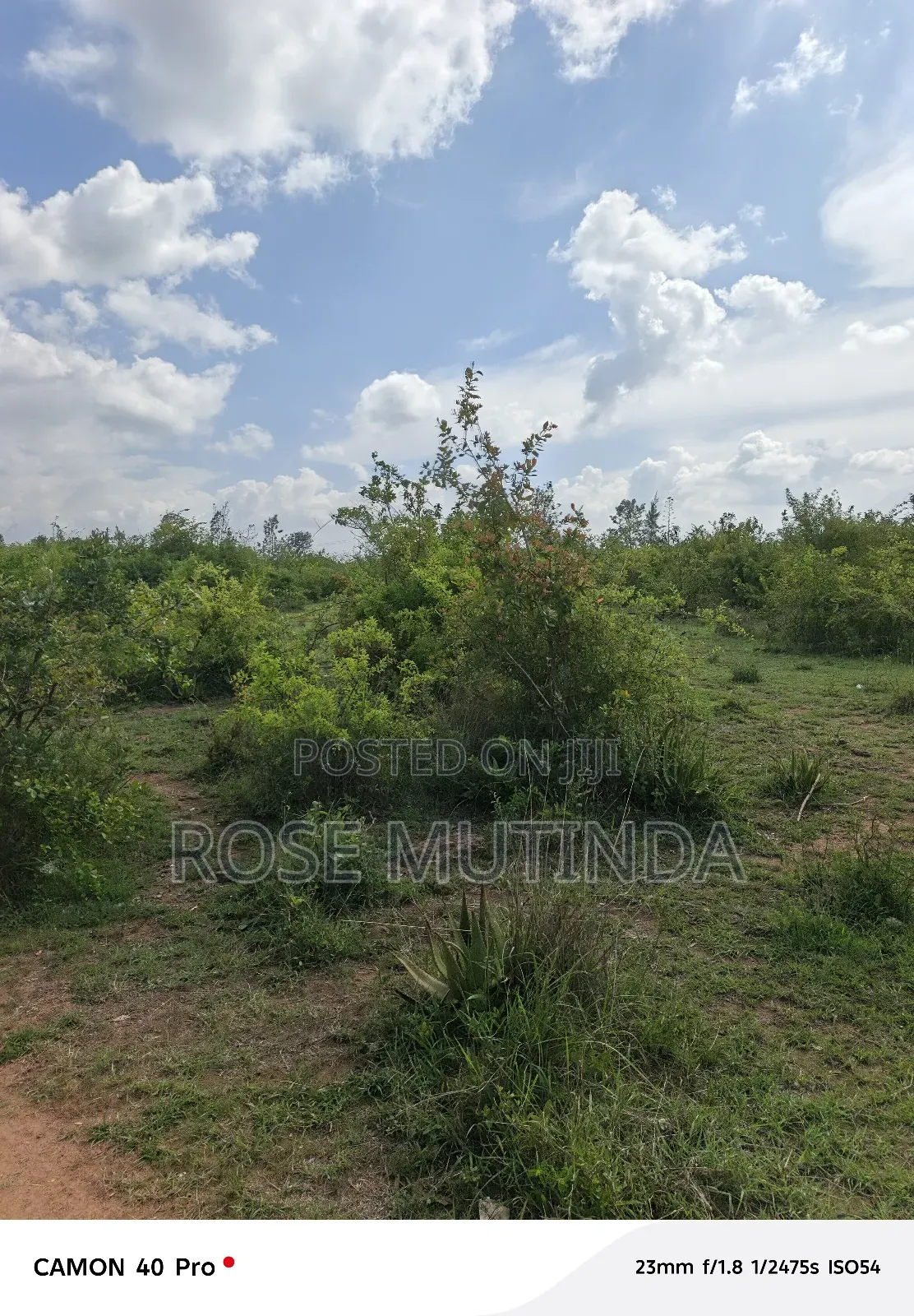 2acres Wendano