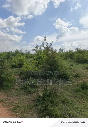 2acres Wendano
