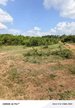 2acres Wendano