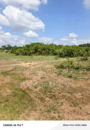2acres Wendano