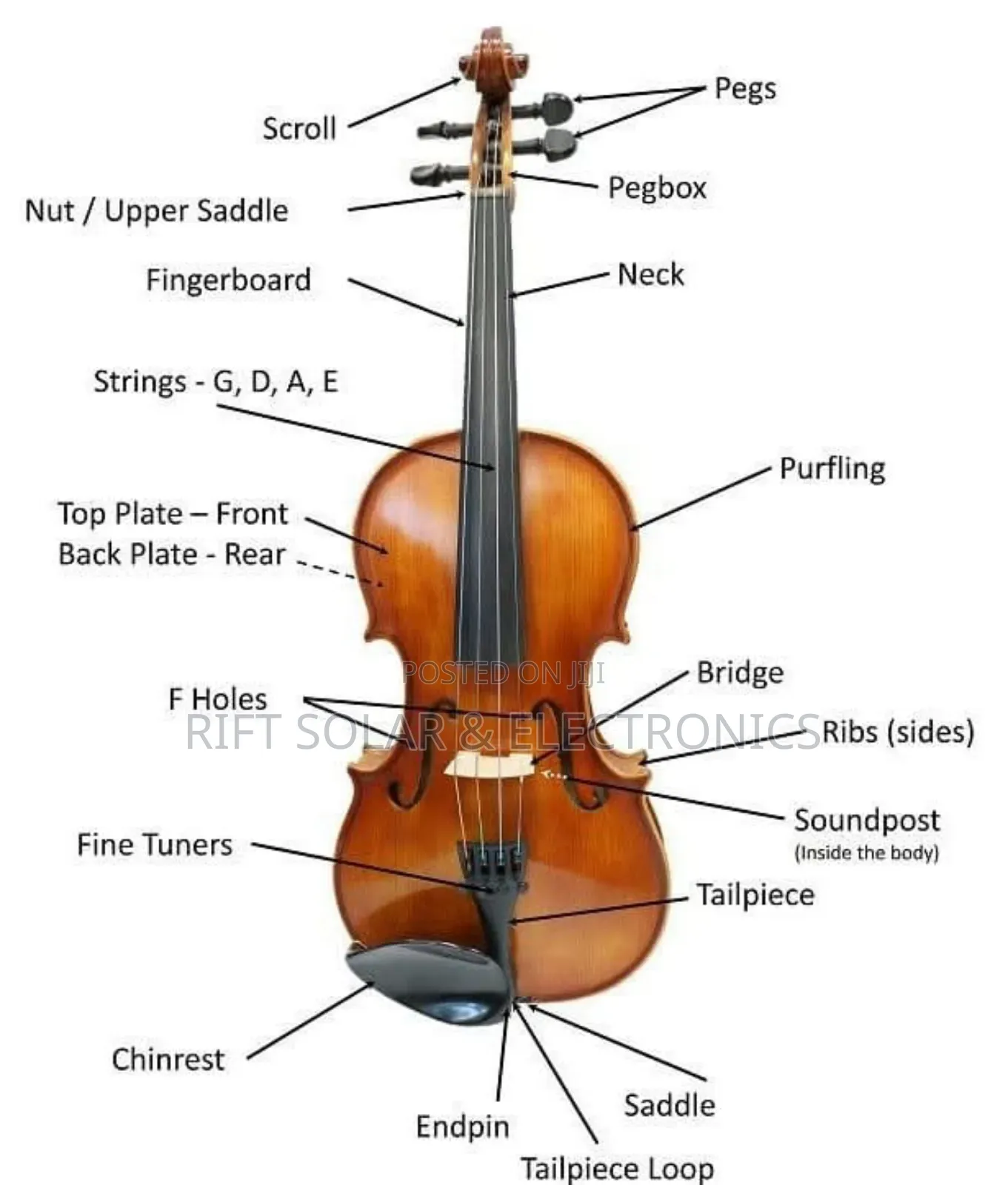 Standard Violin Complete Plus Bag