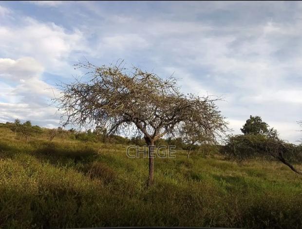 Land for Rent - main view