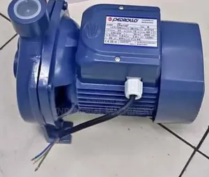 Pedrolo Water Pump 1hp