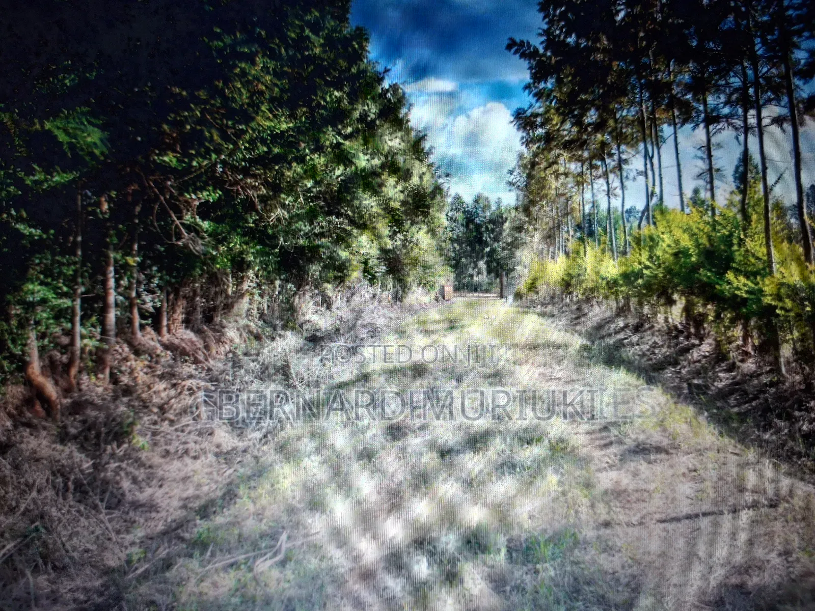 5acres in Muranga, Gatanga, Kigio on Sale