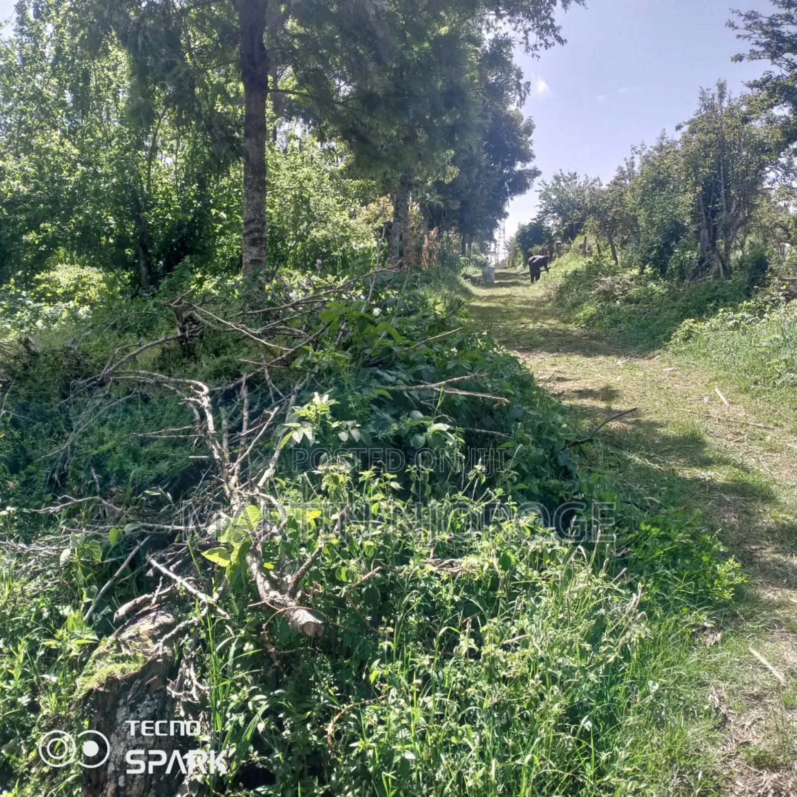 1 Acre Kinyogori