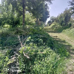 1 Acre Kinyogori