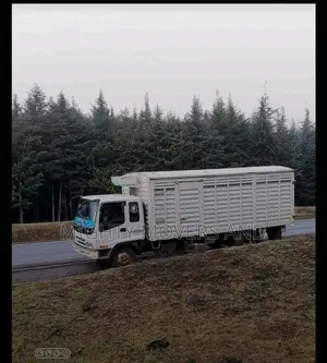 Logistics Trucks for Errands and Inter Country Delivery Are Ready