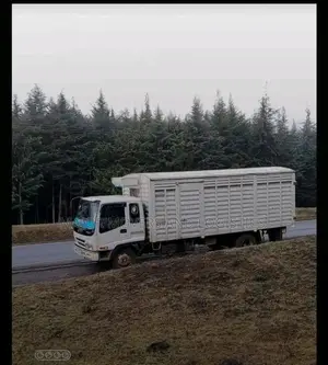 Logistics Trucks for Errands and Inter Country Delivery Are Ready