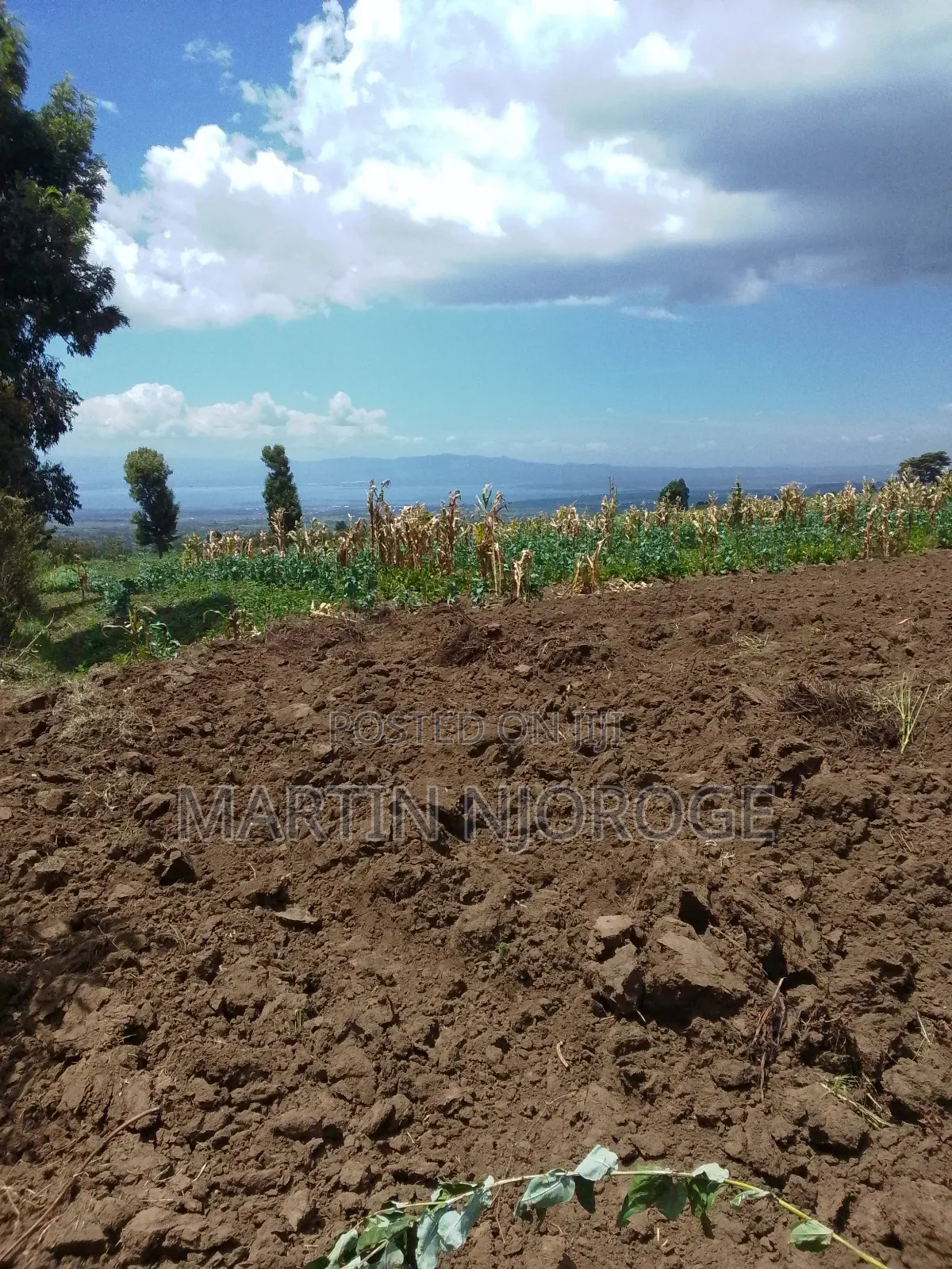 1 Acre Munyu