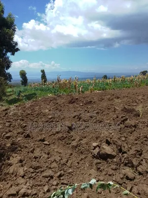 1 Acre Munyu