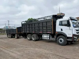 Cargo Trucks for Transport and Movers Services Are Readily Available