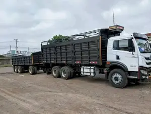 Cargo Trucks for Transport and Movers Services Are Readily Available
