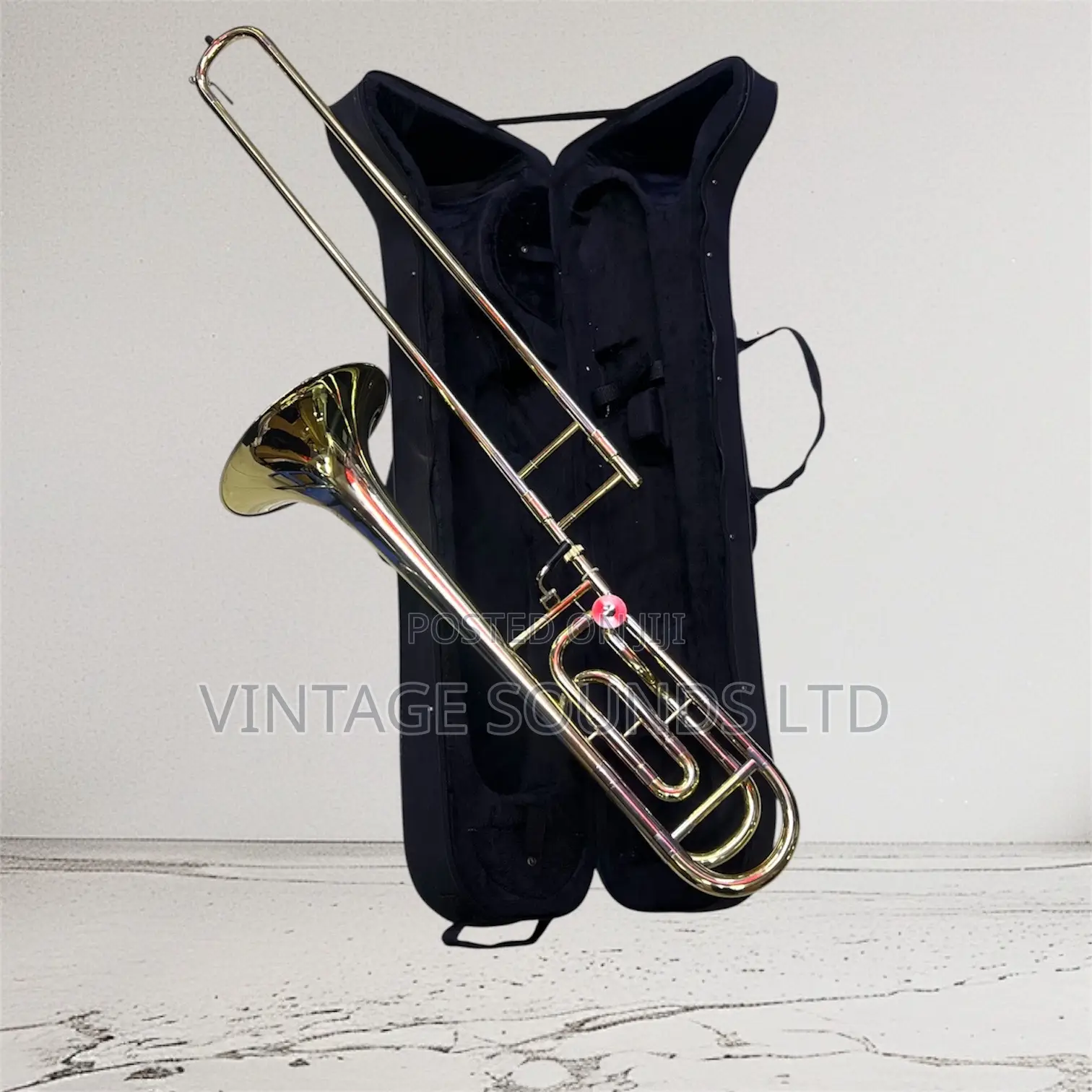 Bb/F Single Valve Bass Trombone Instrument (Gold Finish)