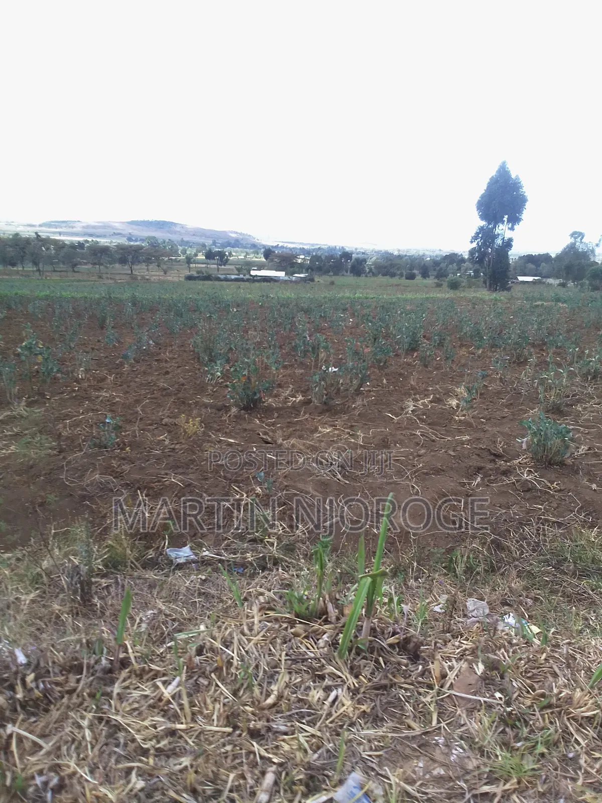 1 Acre Longonot