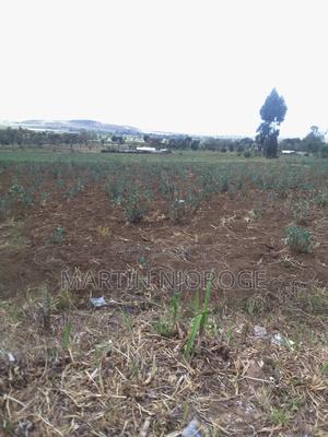 1 Acre Longonot - thumbnail 2