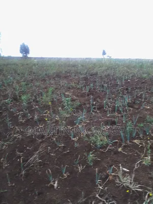 1 Acre Longonot